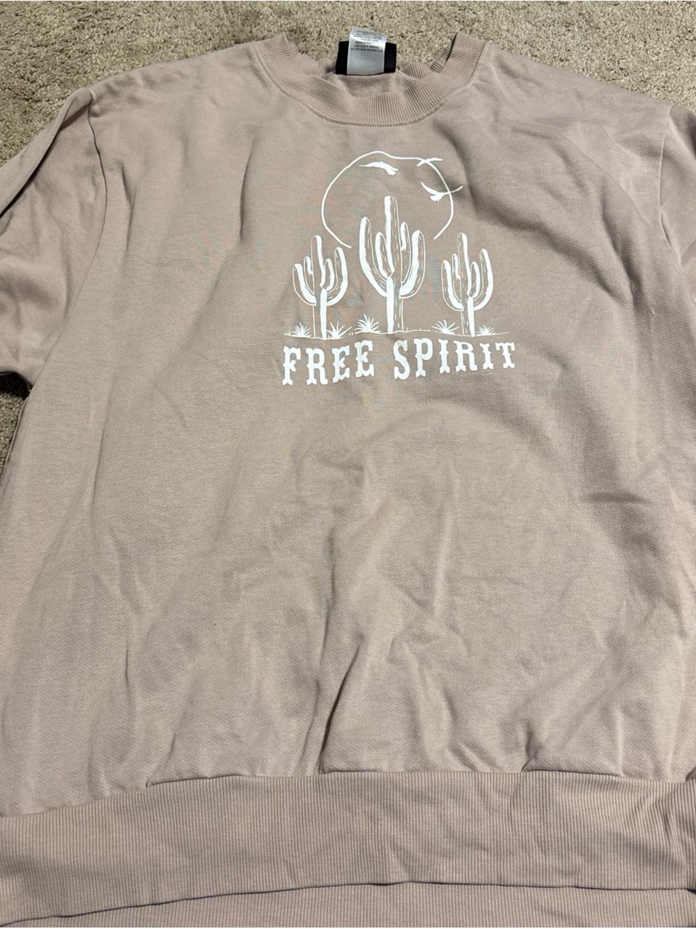 Free Spirit Crewneck Sweatshirt in Dusty Pink